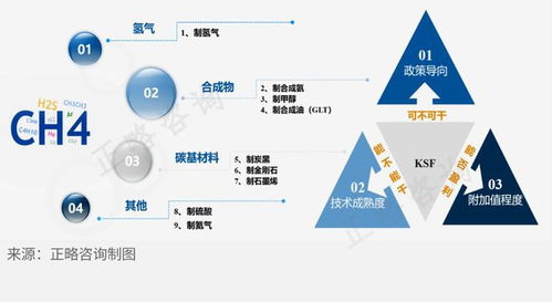 天然氣深加工行業(yè)細(xì)分領(lǐng)域發(fā)展前景淺析及旅游開(kāi)發(fā)項(xiàng)目策劃咨詢